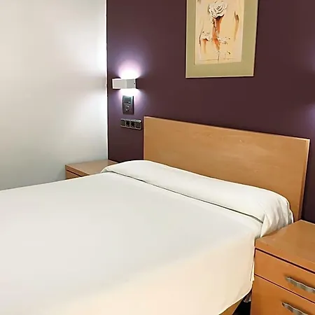 Hotel Meseguer Elx